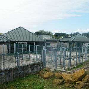 hoof stock stables