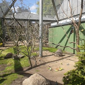 Australian walk through aviary