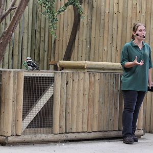 Meet the animals show. 15-8-14