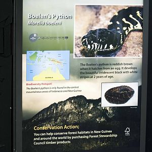 Boelen's Python Signage
