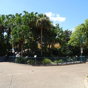 Waterfowl Exhibit at SeaWorld Orlando