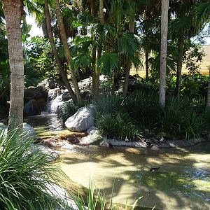 Waterfowl Exhibit at SeaWorld Orlando