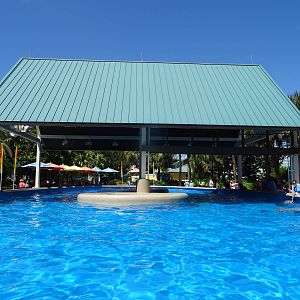 Dolphin Nursery at SeaWorld Orlando