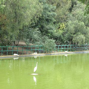 lake neza zoo