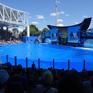 Shamu Stadium at SeaWorld Orlando
