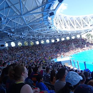 One Ocean Audience at SeaWorld Orlando