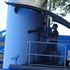 Cameraman at SeaWorld Orlando