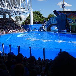 One Ocean at SeaWorld Orlando