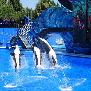 One Ocean at SeaWorld Orlando