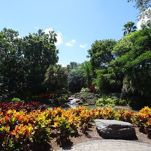 Landscaping at SeaWorld Orlando