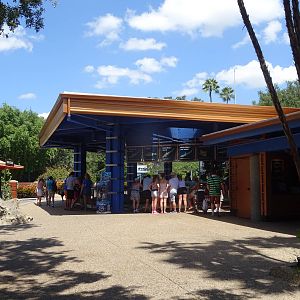 Shark Encounter at SeaWorld Orlando