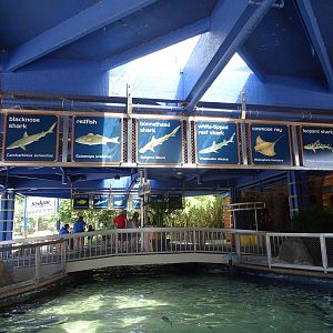 Shark Encounter Signage at SeaWorld Orlando