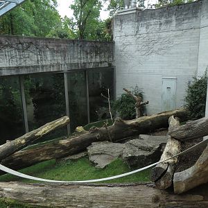Gorilla outdoor enclosure