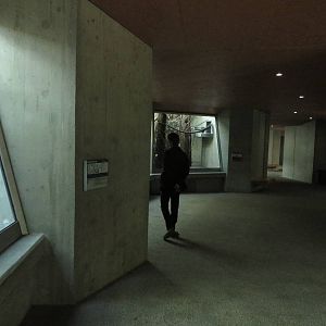 Geigy house - visitors path