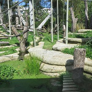 Geigy house - great ape outdoors