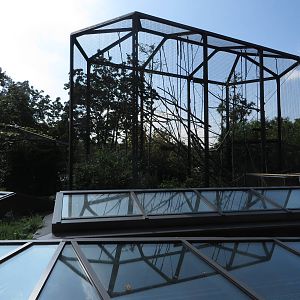 Geigy house - spider monkey outdoors