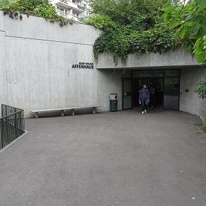 Geigy house - entrance