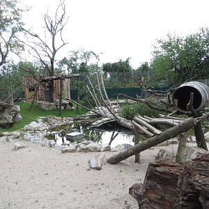 Raccoon enclosure