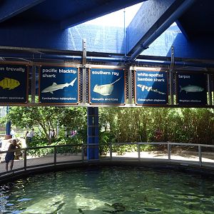 Shark Encounter Signage at SeaWorld Orlando