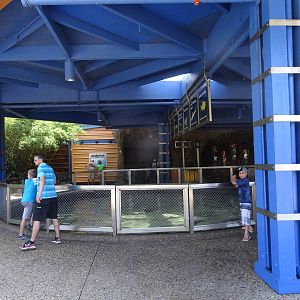 Outdoor Shark Exhibit at SeaWorld Orlando