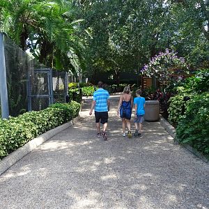 Entering Shark Encounter at SeaWorld Orlando