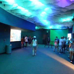 View of Shark Encounter at SeaWorld Orlando