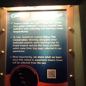 Colorful Conservation Sign at SeaWorld Orlando