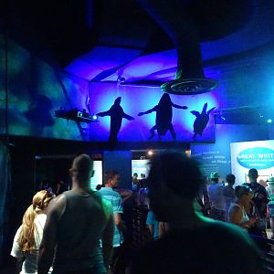 Shark Encounter Signage at SeaWorld Orlando