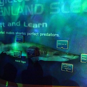 Lift and Learn Display at SeaWorld Orlando