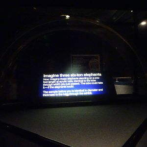 Underwater Tunnel Glass Thickness at SeaWorld Orlando