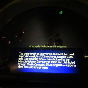 Underwater Tunnel Glass Thickness at SeaWorld Orlando