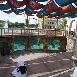 Pearl Dive at SeaWorld Orlando