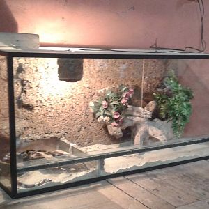 Snake enclosure