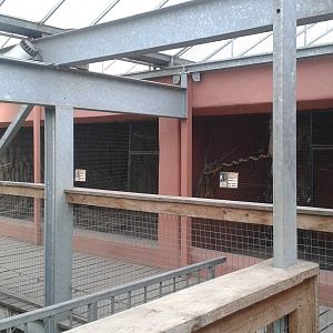 Hornbill and Meerkat enclosures