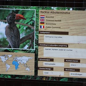 Sign Crowned hornbill