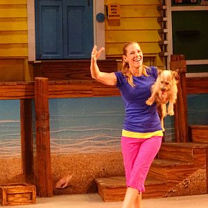 Pets Ahoy! at SeaWorld Orlando