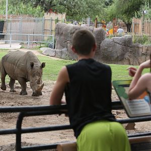 white rhino exhibit