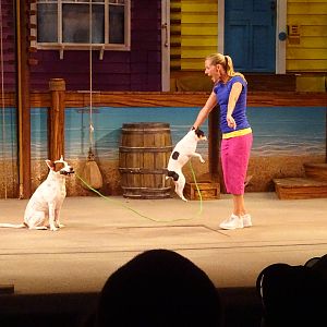 Pets Ahoy! at SeaWorld Orlando