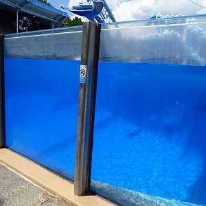 Dolphin Show Tank at SeaWorld Orlando
