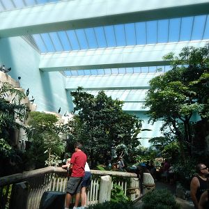 Aug. 2014 - Mahler Family Aviary - Main Walk-through Aviary (14 Species)