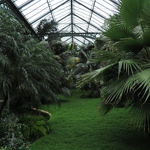 Historical greenhouse