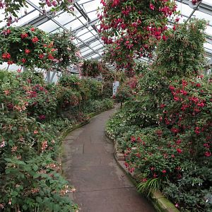 Historical greenhouse