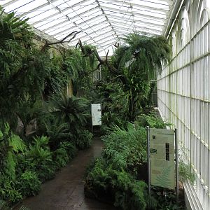 Historical greenhouse