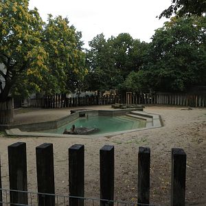 Rhino outdoor enclosure