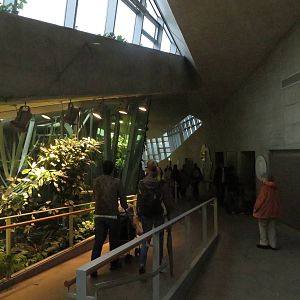 Great ape house visitors path