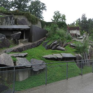 Rocky mountain goat enclosure
