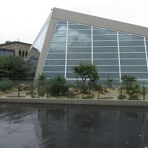 New tortoise enclosure