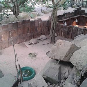 Tortoise enclosures