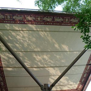 Sumatran Rhino Shading Structure