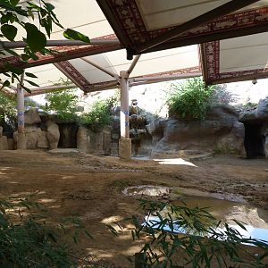 Sumatran Rhino Right Exhibit